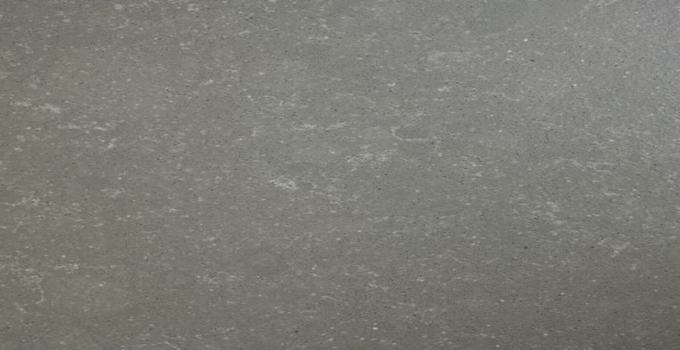 BELGIAN BUXY GRAY